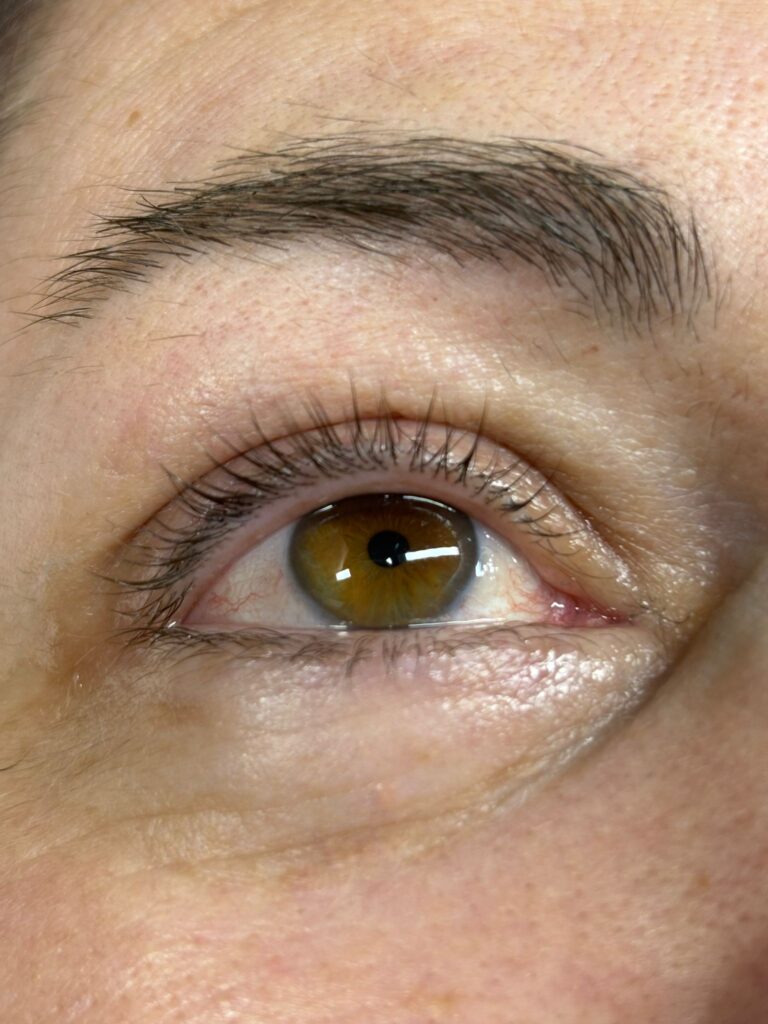 brow lash lift
